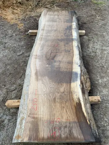 Eiche Tischplatte Nr. 10 – Bild 2