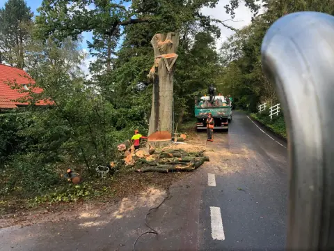 Buche Tischplatte Nr. 12