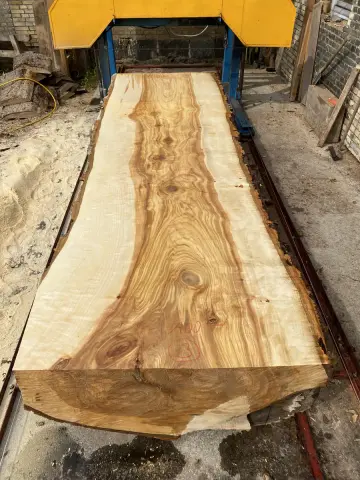 Silber-Pappel Tischplatte Nr. 15 – Bild 6