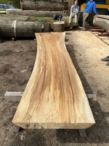 Esche Tischplatte Nr. 16