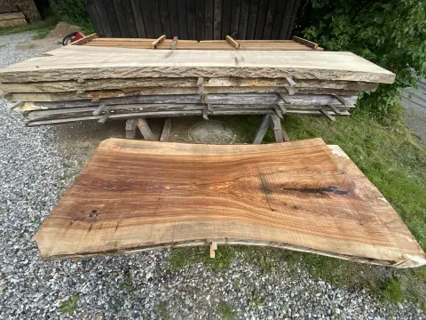 Esche Tischplatte Nr. 17