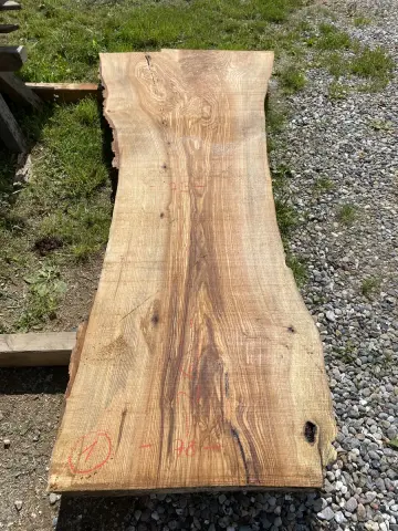 Esche Tischplatte Nr. 17 – Bild 5