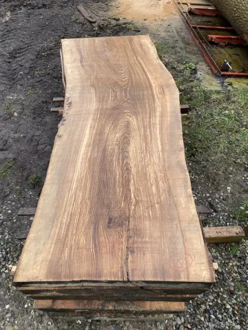 Esche Tischplatte Nr. 18 – Bild 3