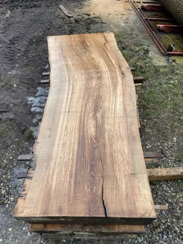 Esche Tischplatte Nr. 18 – Bild 8