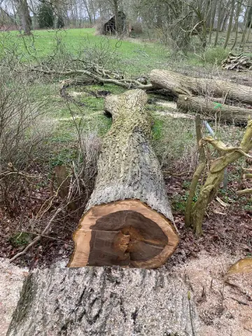 Walnuss Tischplatte Nr. 19 – Bild 5