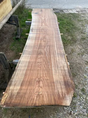Roteiche Tischplatte Nr. 20