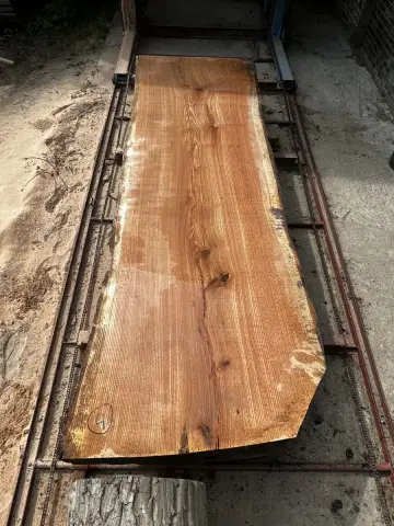 Roteiche Tischplatte Nr. 21 – Bild 3
