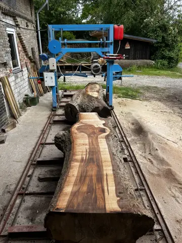 Ulme Tischplatte Nr. 23 – Bild 3