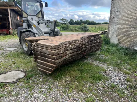Esche Tischplatte Nr. 26 – Bild 2