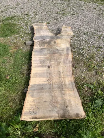 Esche Tischplatte Nr. 26 – Bild 3