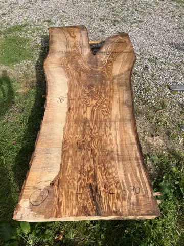 Esche Tischplatte Nr. 26 – Bild 5
