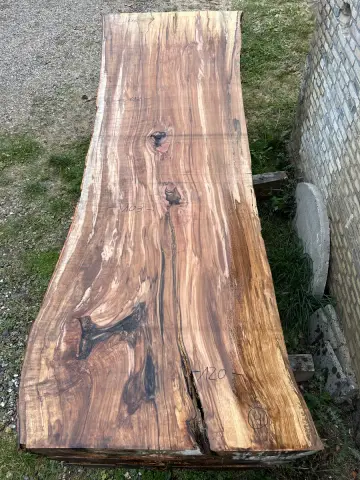 Buche Tischplatte Nr. 27 – Bild 8