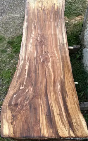 Buche Tischplatte Nr. 27