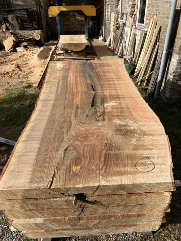 Esche Tischplatte Nr. 28 – Bild 6