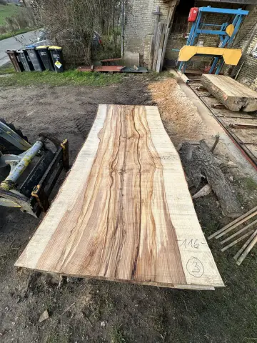 Esche Tischplatte Nr. 33 – Bild 2