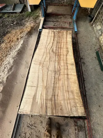 Esche Tischplatte Nr. 33 – Bild 5