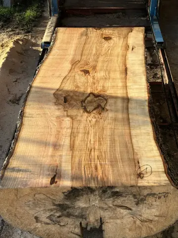 Esche Tischplatte Nr. 33 – Bild 6