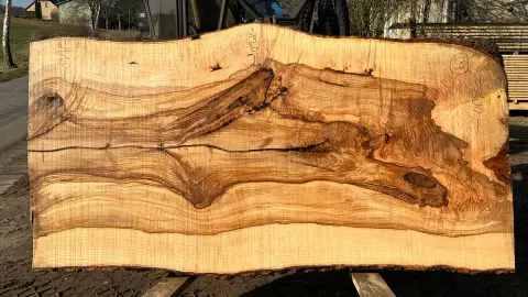 Esche Tischplatte Nr. 36 – Bild 5