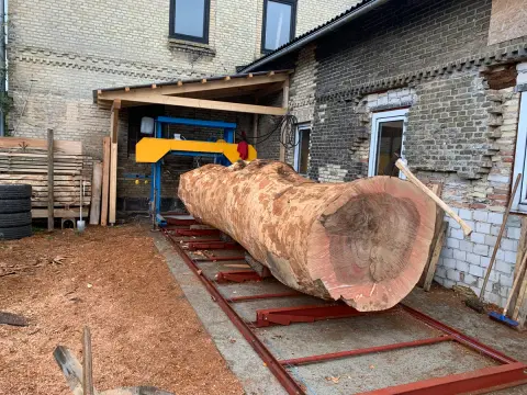 Esche Tischplatte Nr. 2