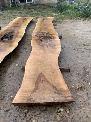 Esche Tischplatte Nr. 2 – Bild 5