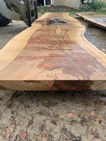 Esche Tischplatte Nr. 2 – Bild 6