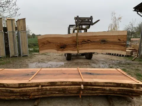 Esche Tischplatte Nr. 2 – Bild 12