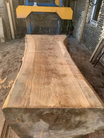 Esche Tischplatte Nr. 6 – Bild 3