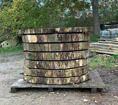 Eiche Baumscheibe Nr. 100 – Bild 4