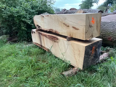 Eiche XL Kantholz Nr. 201