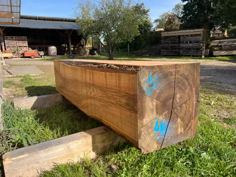Esche XL Kantholz Nr. 204