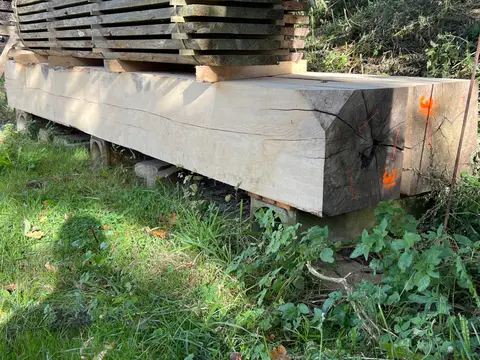 Esche Kantholz Nr. 203